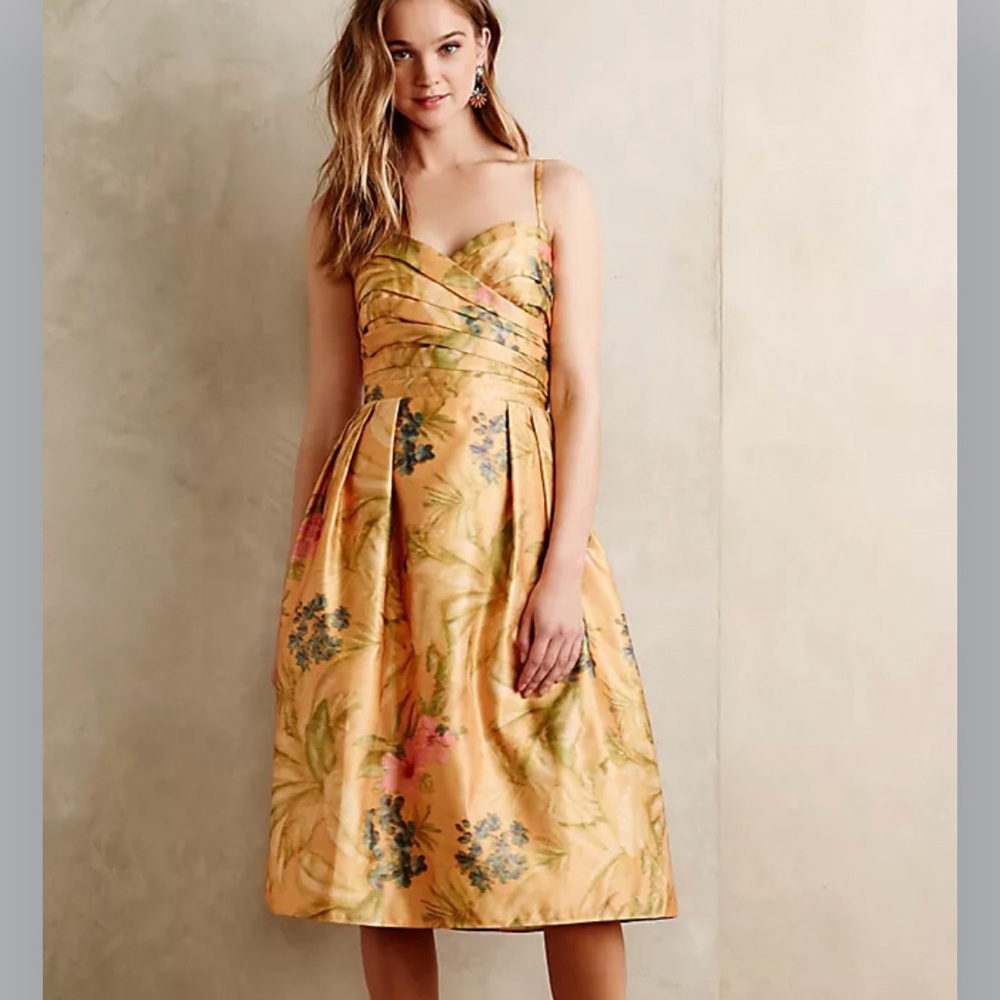 NWT Anthropologie James Coviello Botanica dress Size US 2/Euro 4